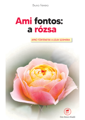 Ami fontos: a rózsa, borító